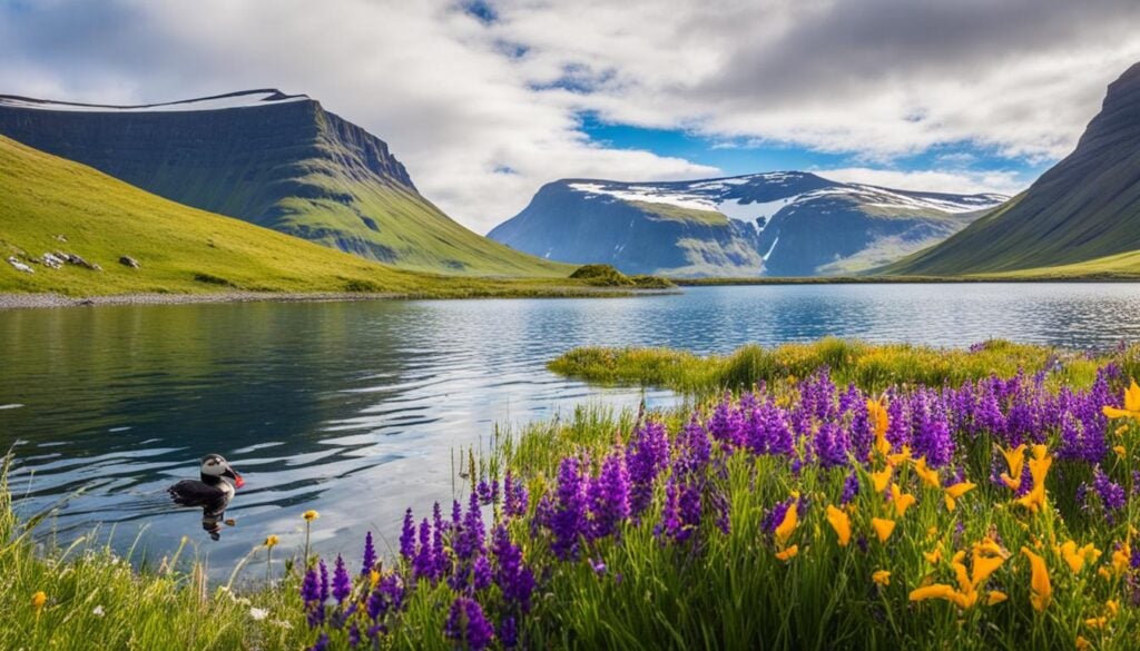 local wildlife and flora in Ísafjörður