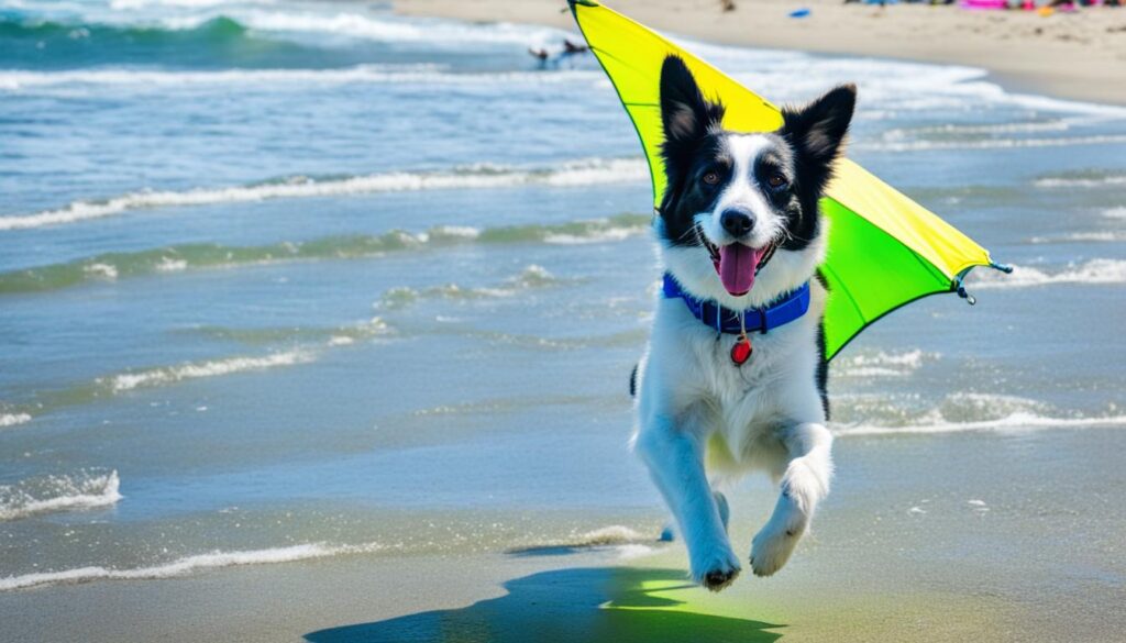 pet-friendly activities and accommodations in Wilmington pet-friendly activities and accommodations in Wilmington