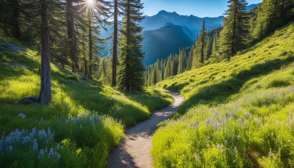 scenic trails Pelister National Park scenic trails Pelister National Park