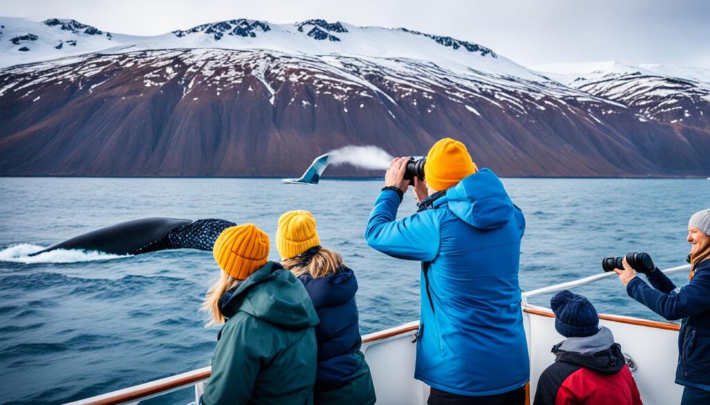 whale watching in Husavik whale watching in Husavik