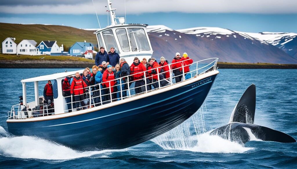 whale watching in Husavik Iceland