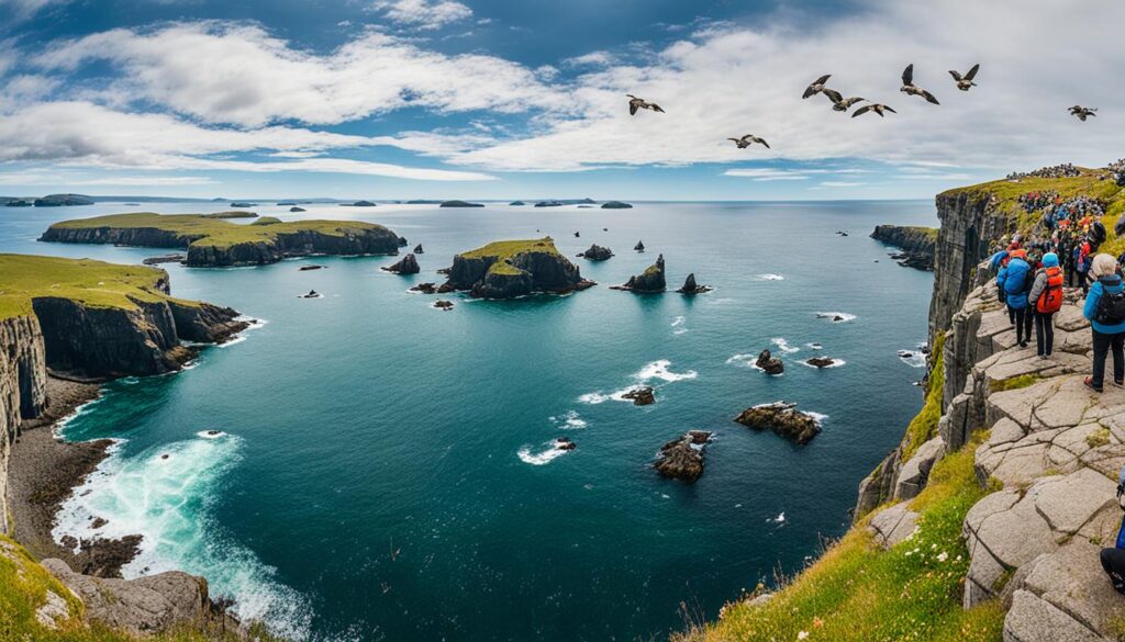 where to spot puffins in Vik