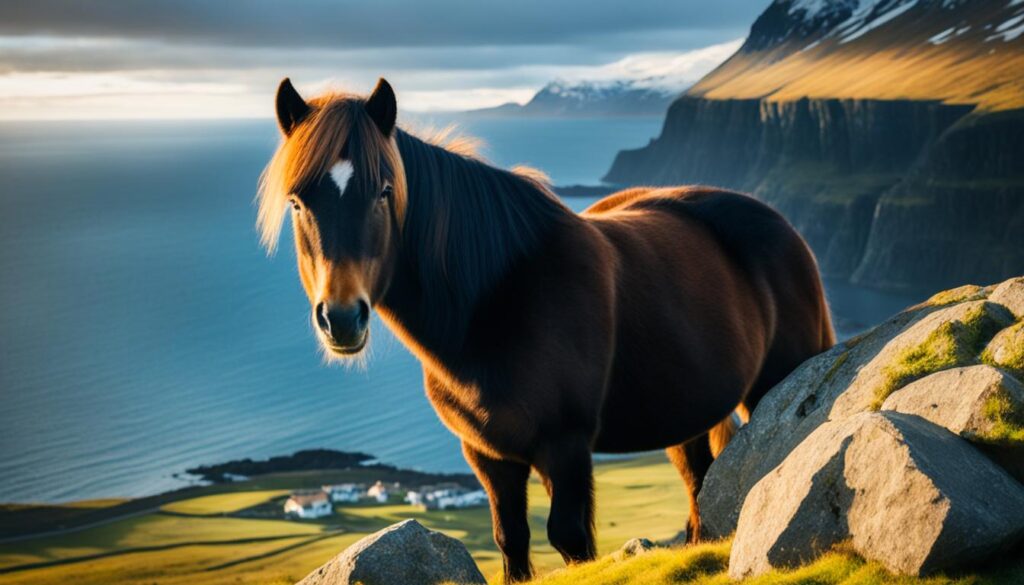 wildlife spotting in Reykjavik