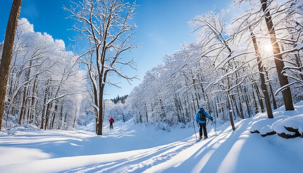 winter hiking in Grand Rapids