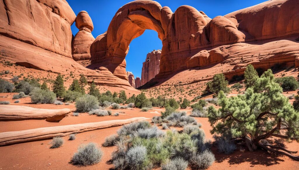 Arches National Park Arches National Park