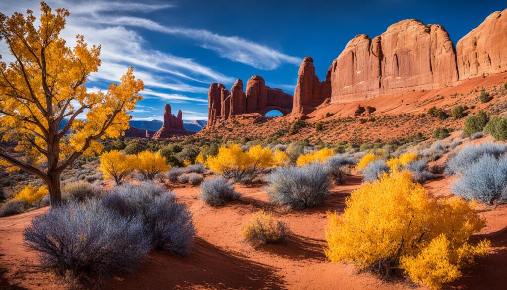 Arches National Park fall foliage