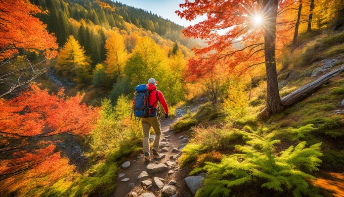 Ashland hiking trails