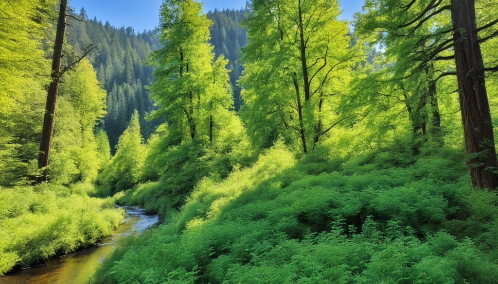 Ashland nature tours enrich understanding of local ecosystems Ashland nature tours enrich understanding of local ecosystems