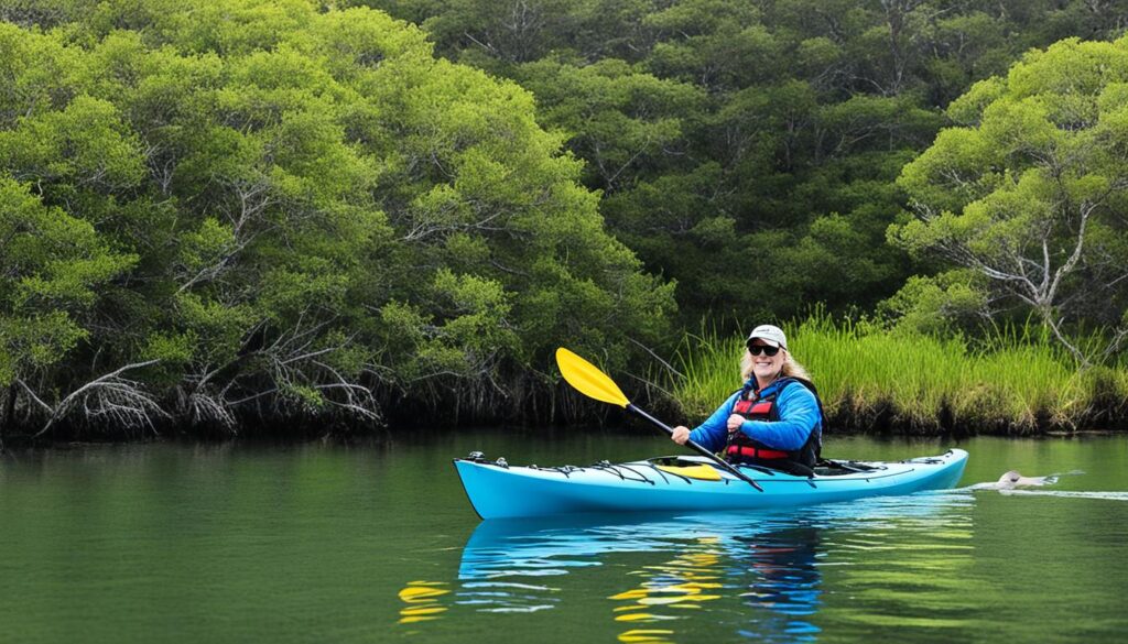 Coastal kayaking experiences