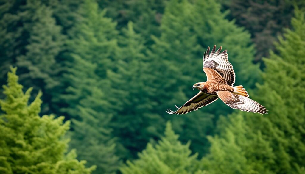 Eugene raptor sightings Eugene raptor sightings