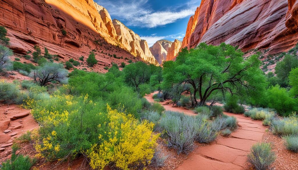 Hiking Trails Hiking Trails