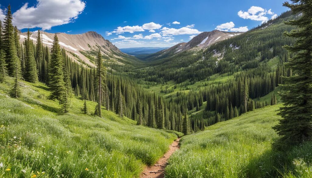 Hiking trails in Uinta-Wasatch-Cache National Forest Hiking trails in Uinta-Wasatch-Cache National Forest