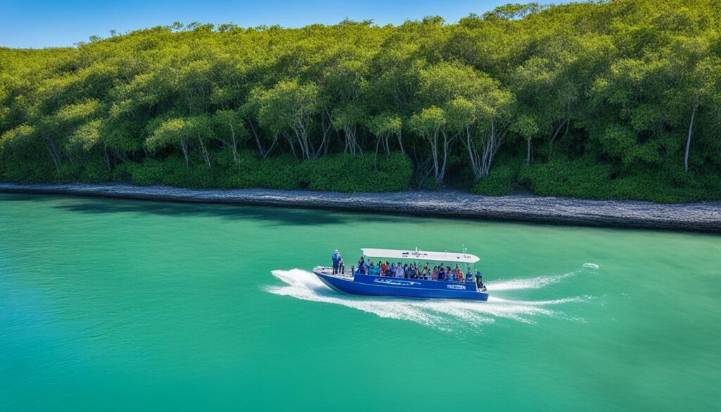 Hilton Head Island dolphin watching tours Hilton Head Island dolphin watching tours