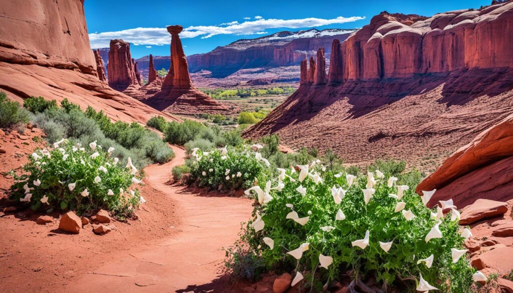 Moonflower Trail Moab Moonflower Trail Moab