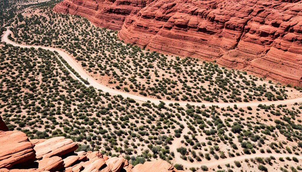 Mountain biking Moab Utah Mountain biking Moab Utah