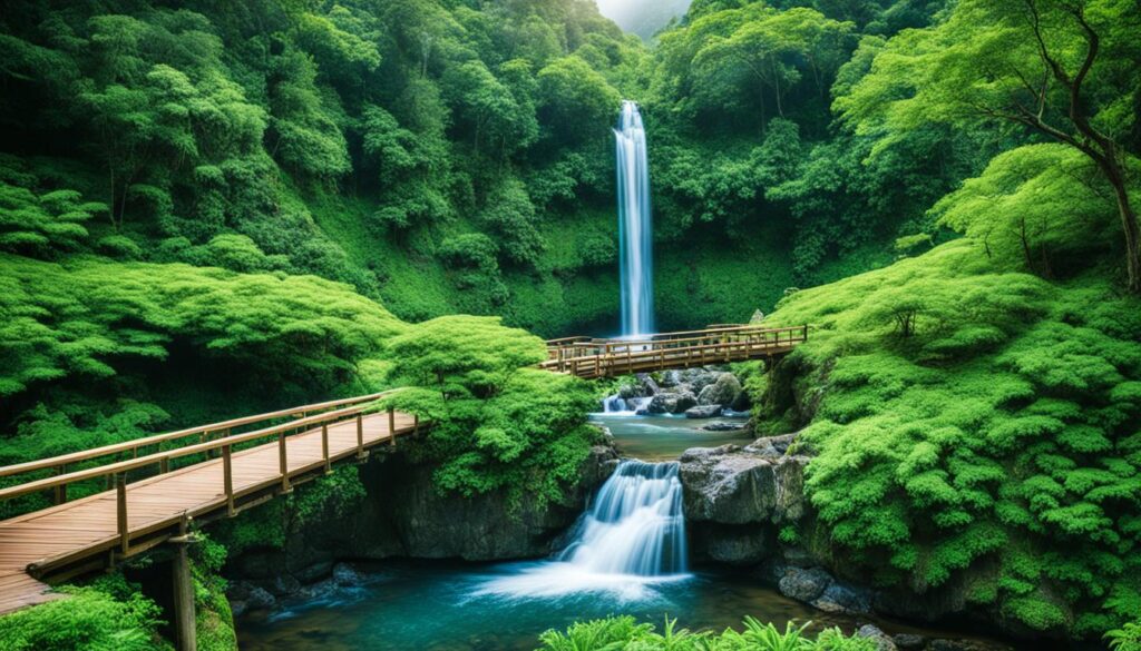 Nature experiences Chattanooga Nature experiences Chattanooga