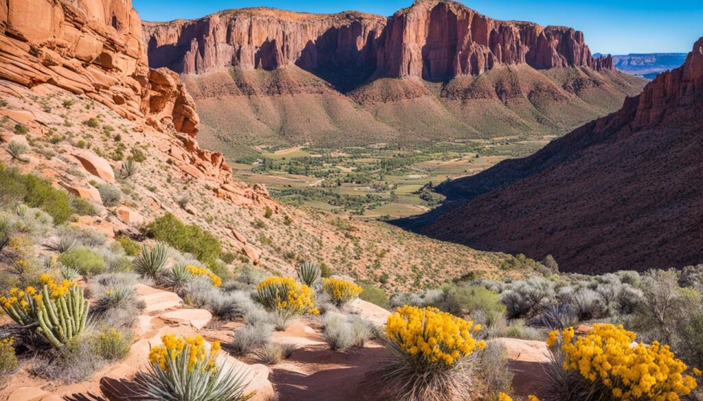 Offbeat hiking trails St. George