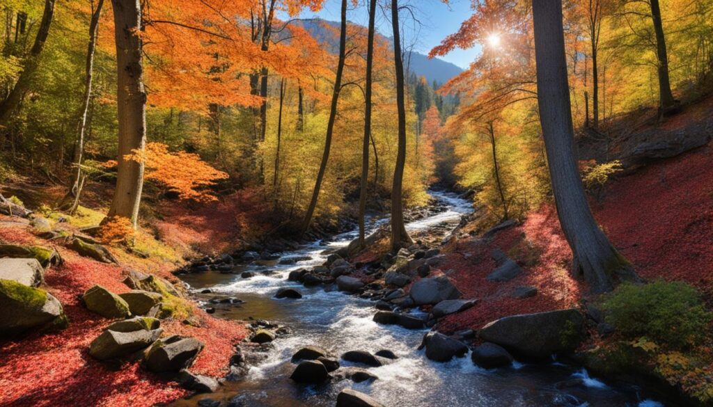 Oregon autumn colors