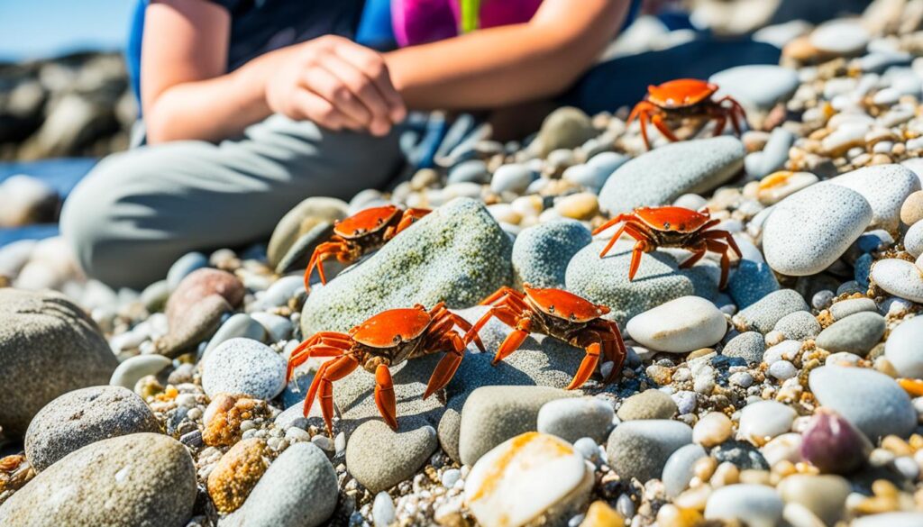 Outdoor fun for kids in Annapolis