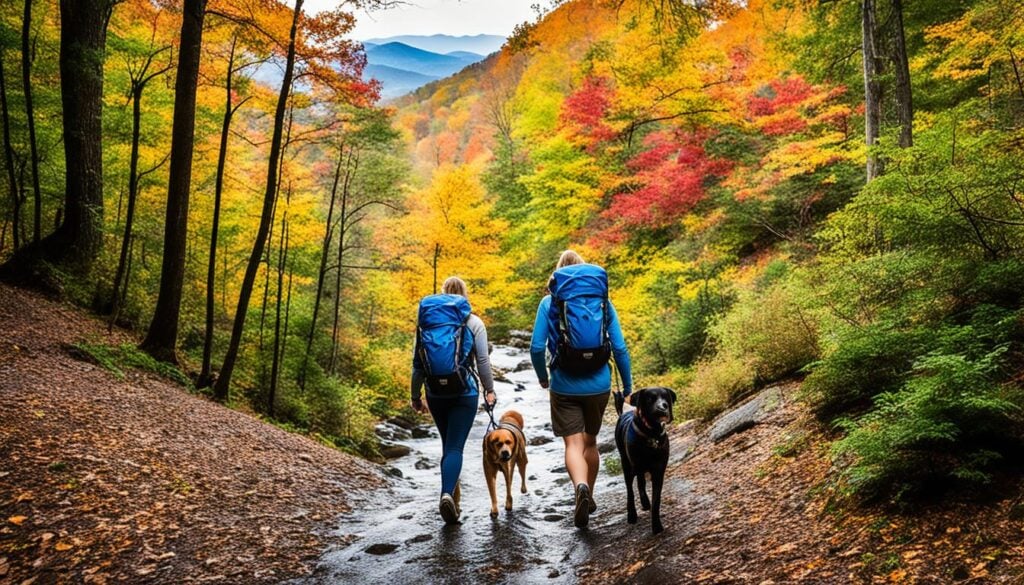 Outdoor fun in Asheville for families