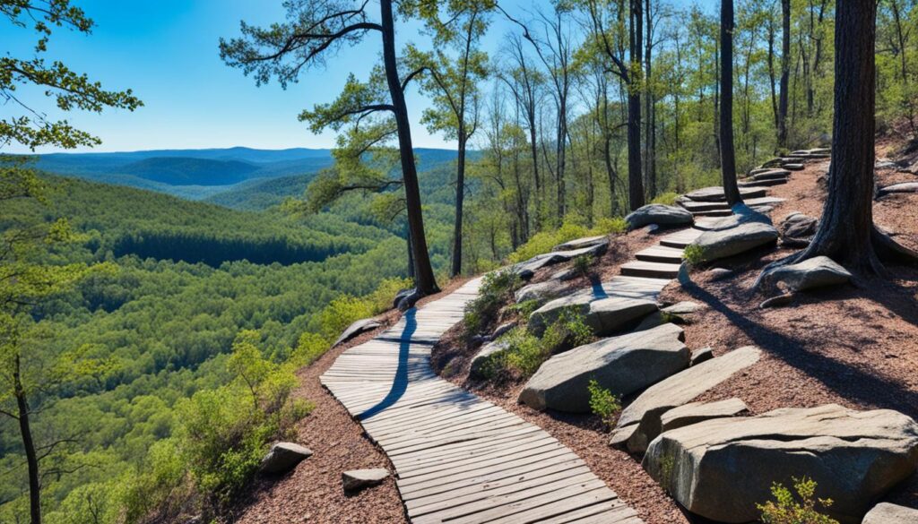 Peachtree Rock Heritage Preserve