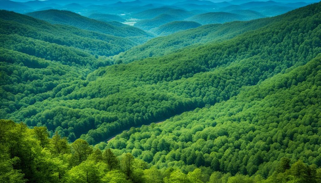 Planning your visit for outdoor tours Asheville Planning your visit for outdoor tours Asheville