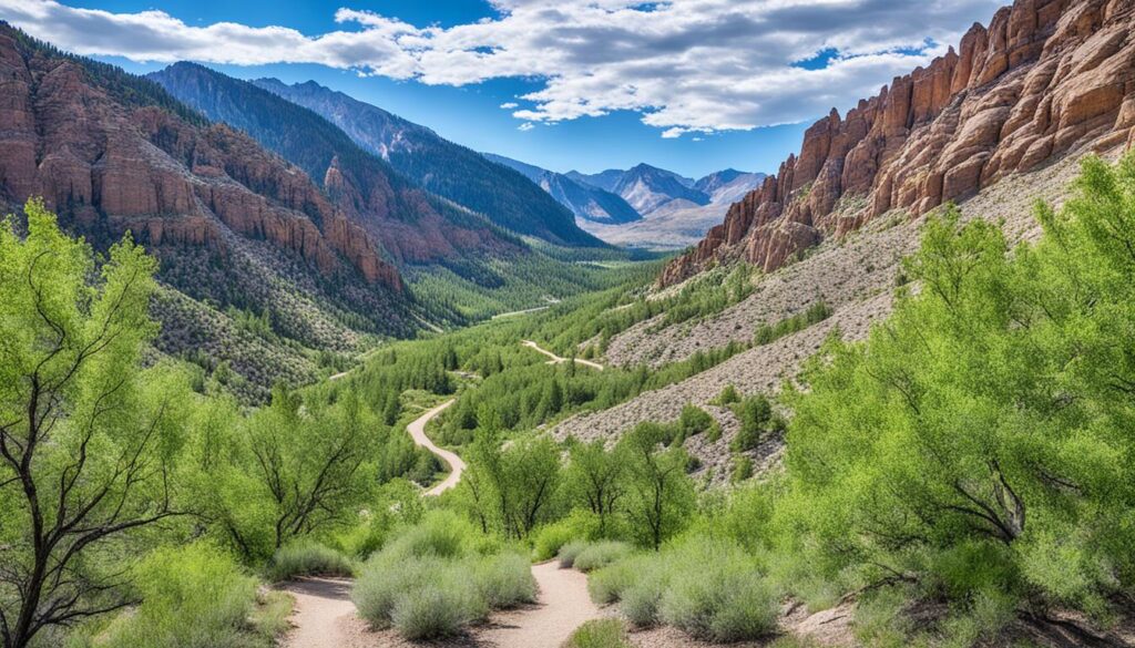 Rock Canyon Trail