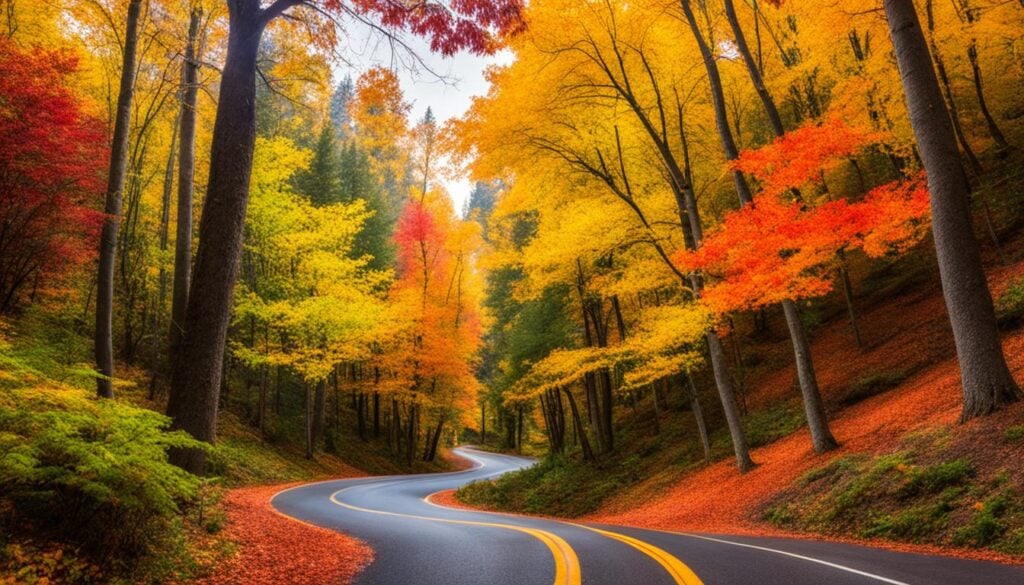 Scenic autumn route