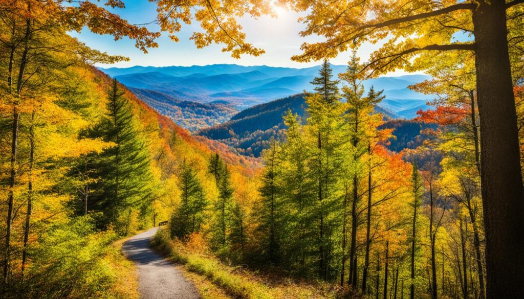 Top-rated hiking trails Gatlinburg