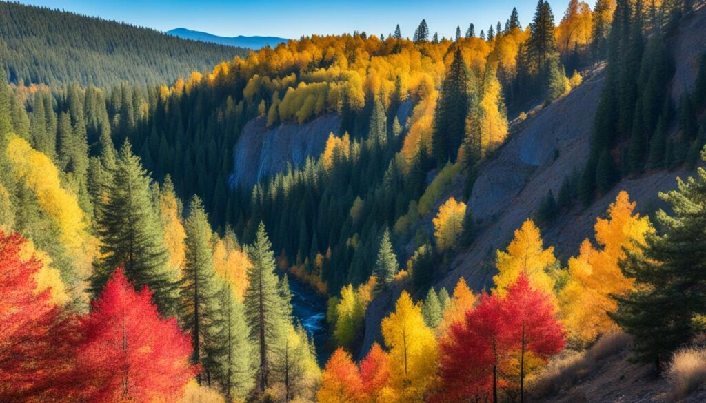Where to see fall colors in Bend Where to see fall colors in Bend