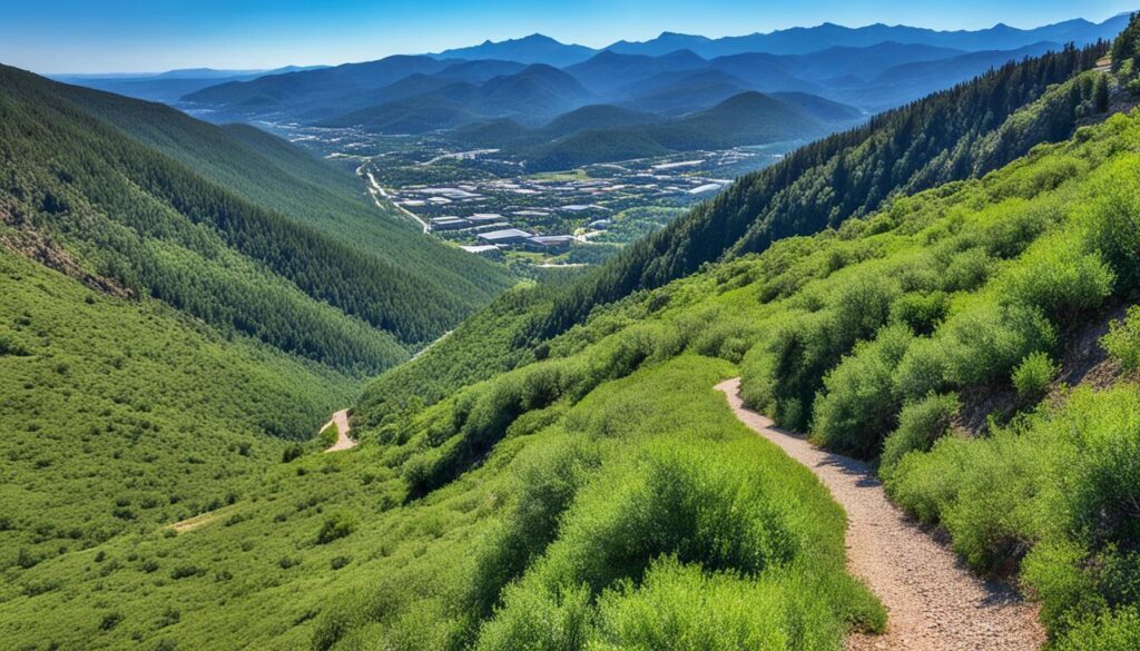 Y Mountain Trail Panoramic Views Y Mountain Trail Panoramic Views