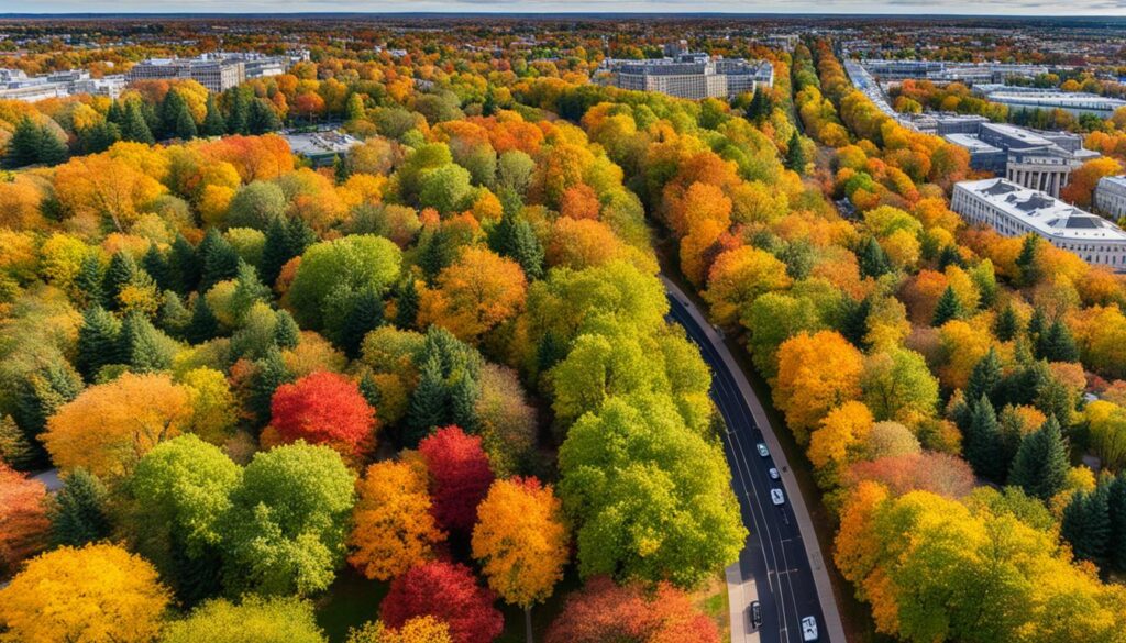 beauty of autumn in Saint Cloud beauty of autumn in Saint Cloud