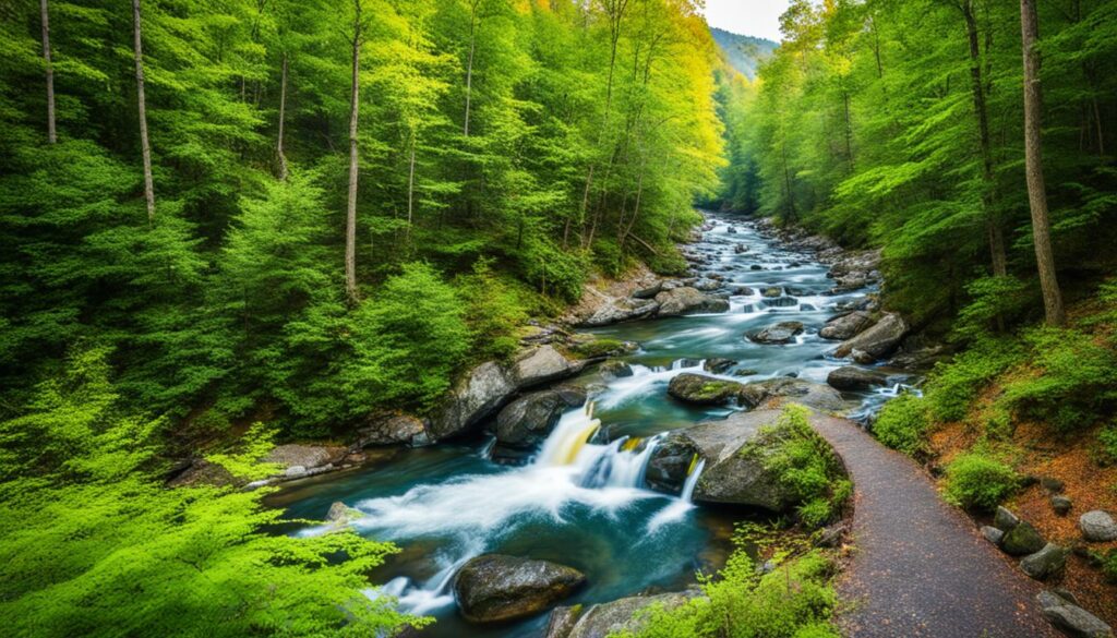 best guided tours Gatlinburg best guided tours Gatlinburg