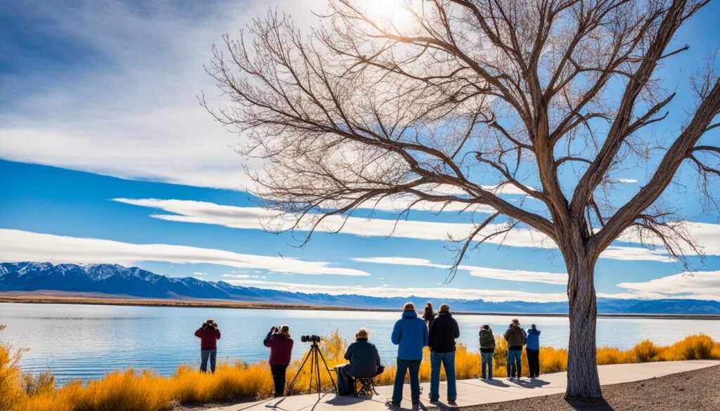 bird watching in Utah Lake State Park