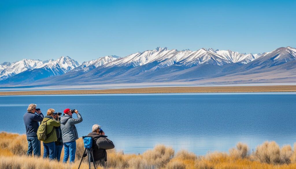 birdwatching Utah Lake State Park birdwatching Utah Lake State Park