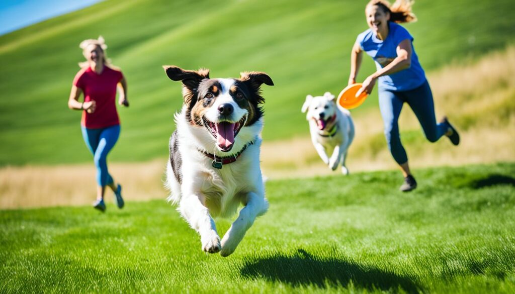 dog-friendly activities in Lansing dog-friendly activities in Lansing