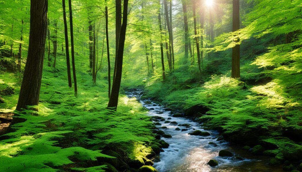 enjoy nature in Salem enjoy nature in Salem