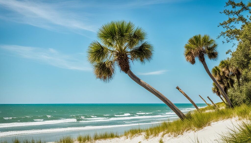 hidden beaches in Charleston SC