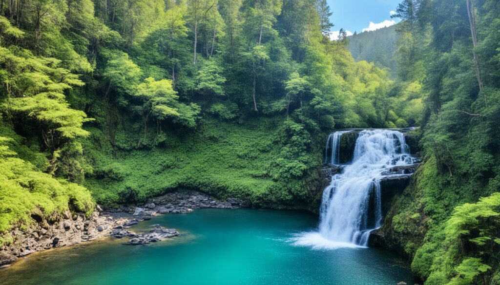 insider tips for Gatlinburg trips insider tips for Gatlinburg trips