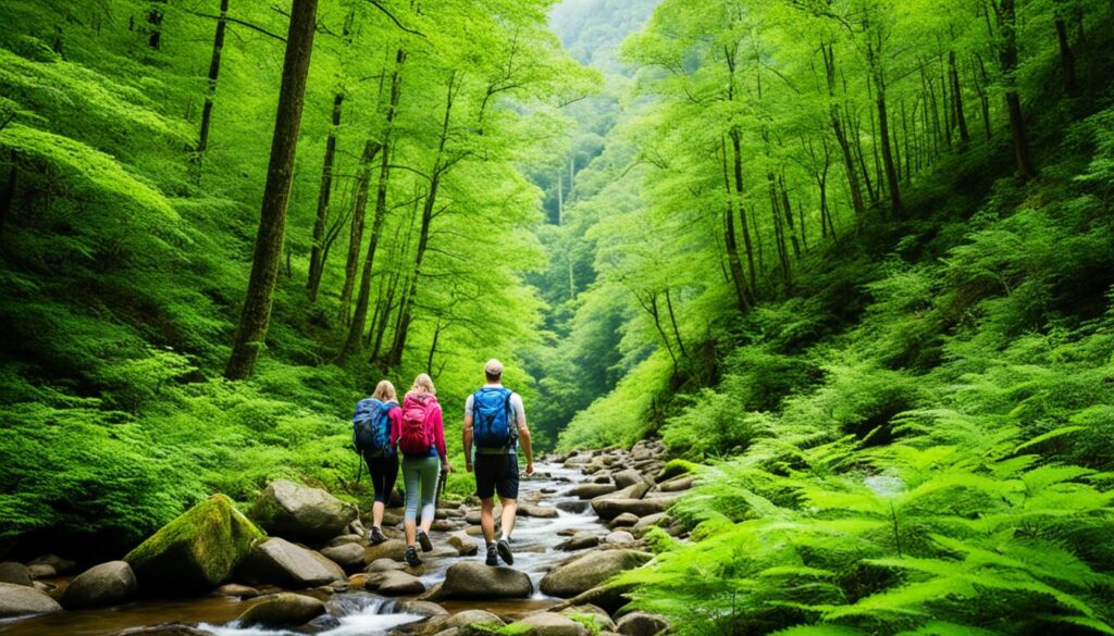 outdoor family activities in Gatlinburg outdoor family activities in Gatlinburg