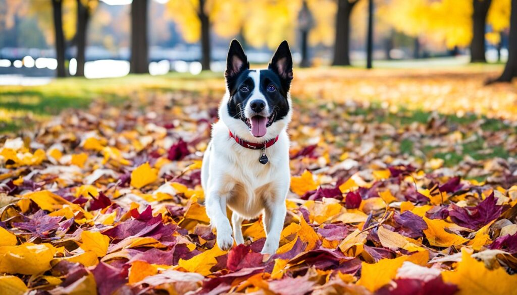 seasonal pet activities Grand Rapids