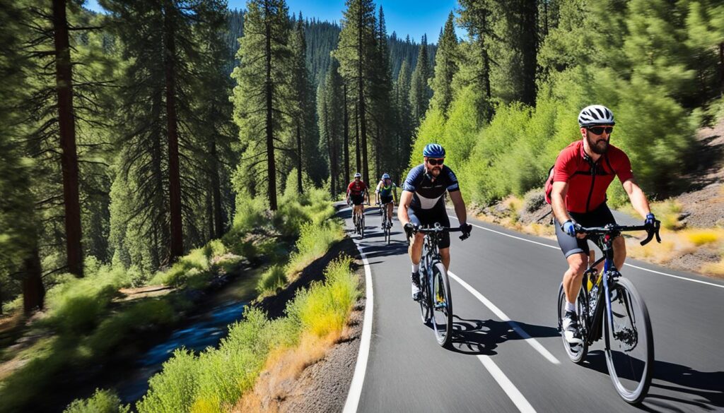 top bike paths around Mount Bachelor top bike paths around Mount Bachelor