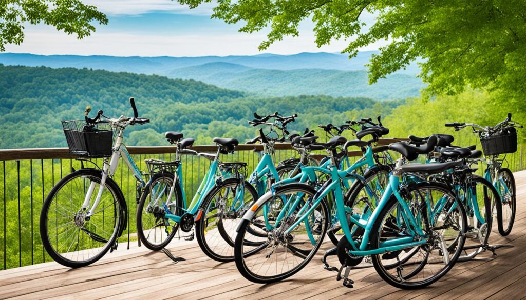 top-rated bike rental service Greenville top-rated bike rental service Greenville