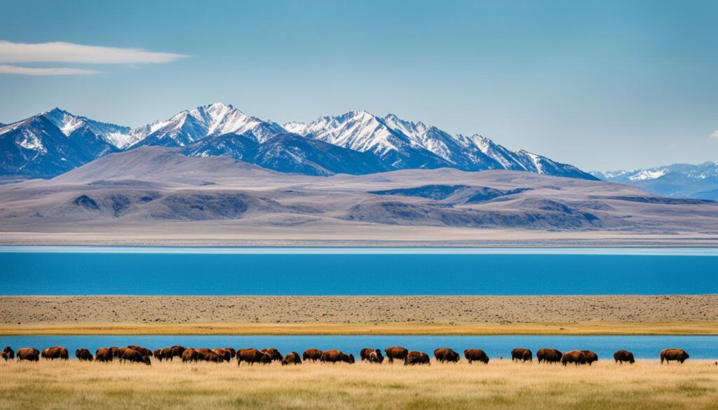 unique ecosystem of Antelope Island