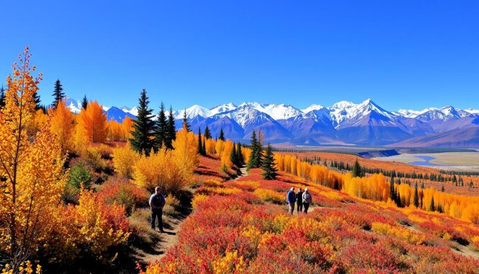 Volunteering opportunities in Denali National Park