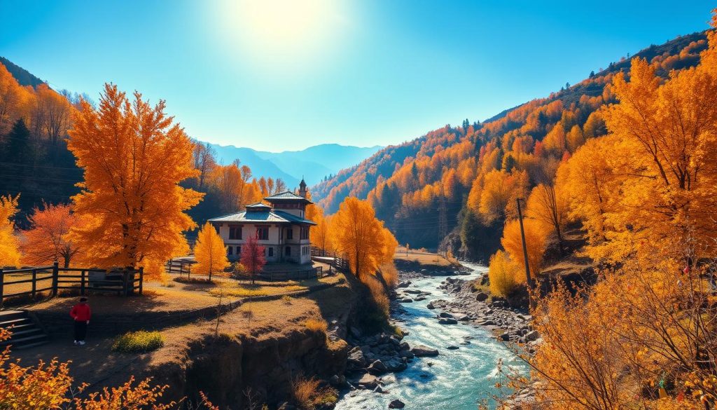 Autumn activities in Haa Valley Autumn activities in Haa Valley