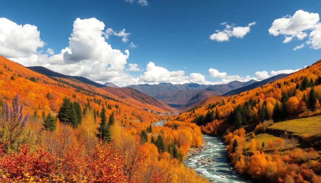 Best times to visit Bumthang Best times to visit Bumthang