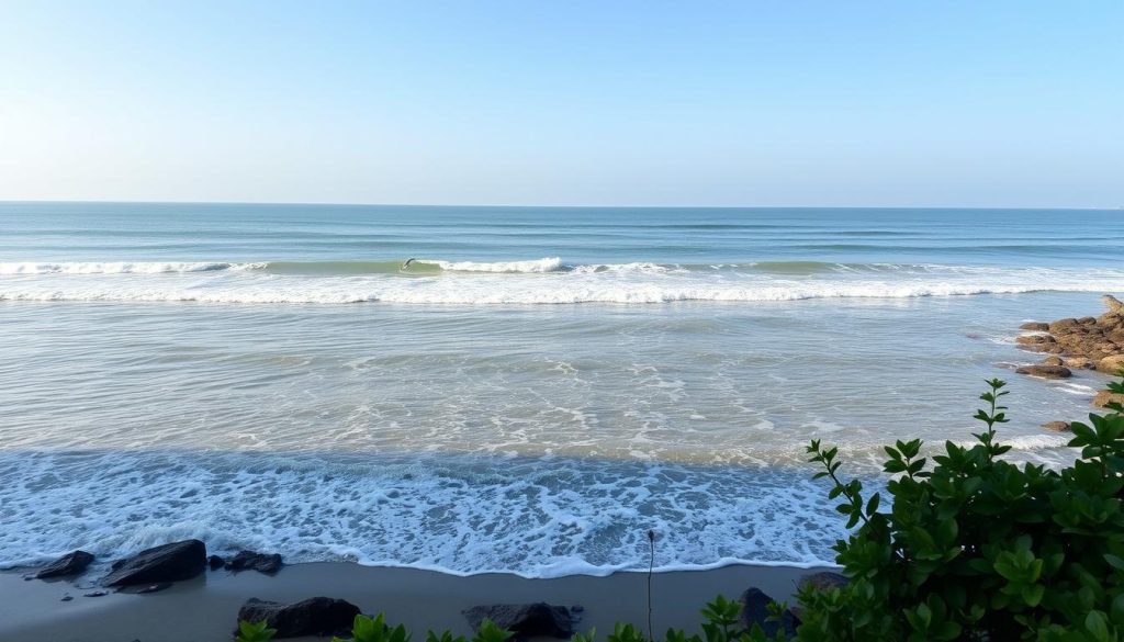 best spots for dolphin watching in Cox's Bazar best spots for dolphin watching in Cox's Bazar