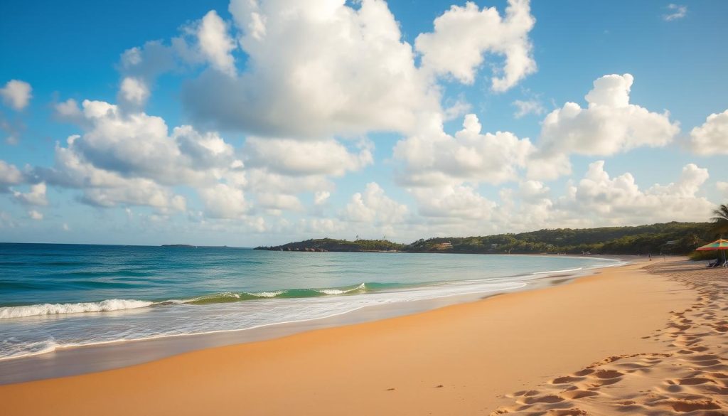 Vieques in off-season Vieques in off-season