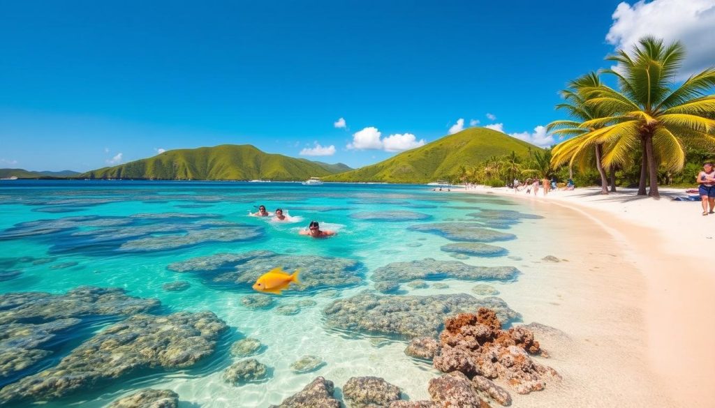 Vieques snorkeling guide Vieques snorkeling guide